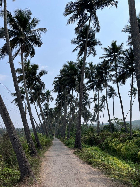 Goa Scenery